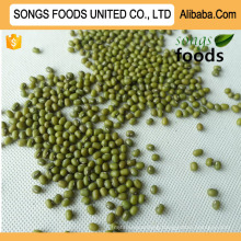 Moisture 17% Max Songs Foods Green Mung Beans